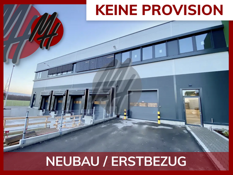 Bensheim Halle, Bensheim Hallenfläche