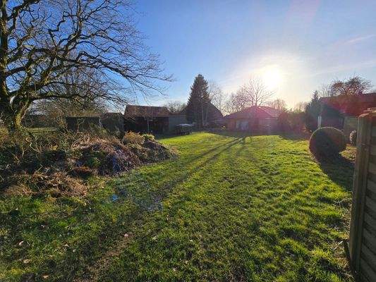 20250226_161700_resized