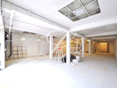 Bonn Halle, Bonn Hallenfläche