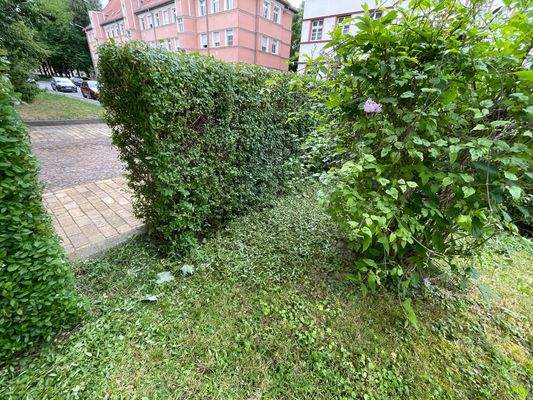 Heckenbereich + Außenfläche