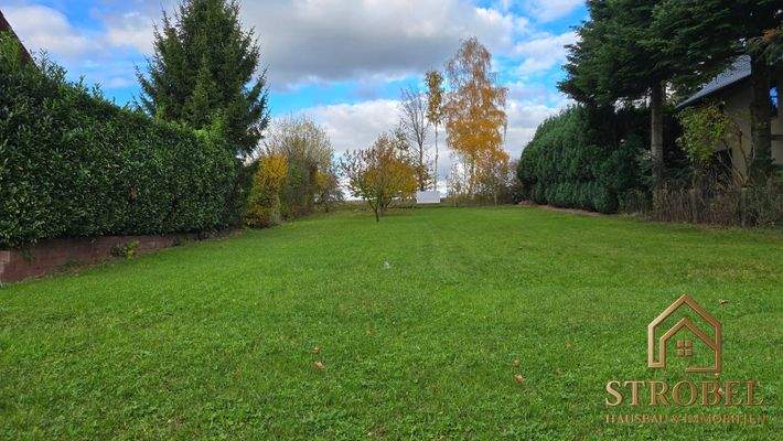 Grundstück Schönfeld.jpg