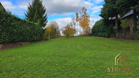 Dresden Grundstücke, Dresden Grundstück kaufen