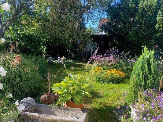 Blick in den Garten2