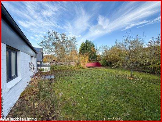 Gartenimpression (2)