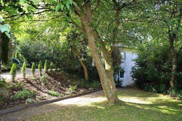 Blick zum Apartment+ Garagenhaus