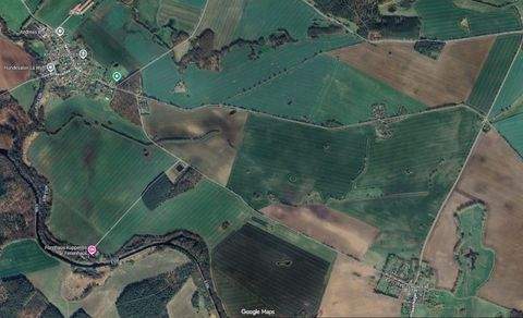 Gallin-Kuppentin Bauernhöfe, Landwirtschaft, Gallin-Kuppentin Forstwirtschaft