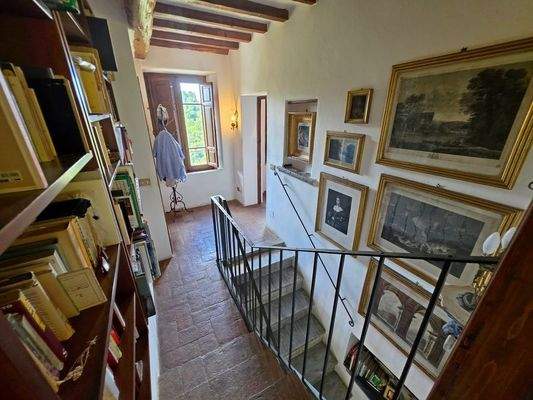 1000084285 - 1K JPEG.jpg