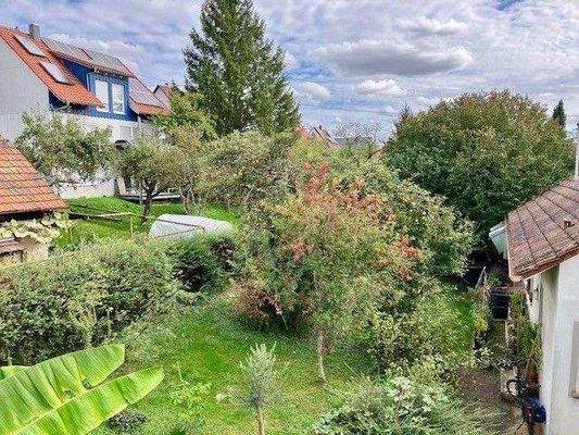 Blick in den Garten.jpg