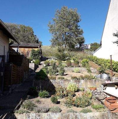 481049678_616116944911245_8649547030559059471_n.jp