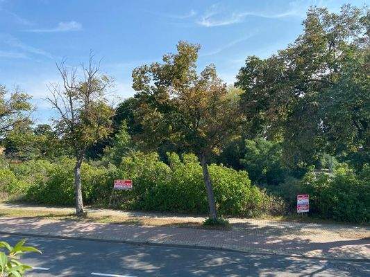 PHOTO-2021-02-02-22-33-48(5)