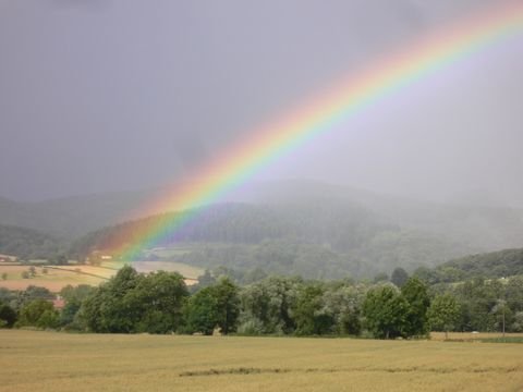 Hirschbach Bauernhöfe, Landwirtschaft, Hirschbach Forstwirtschaft