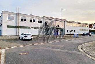 INFOS UNTER: 06171-586000