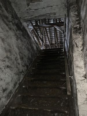 IMG_7541