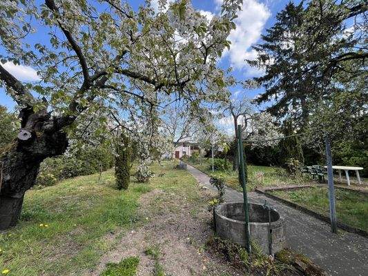 Garten Blick zum Nebengebäude