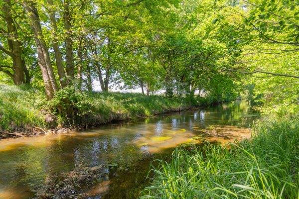 Greifenhainer Fließ