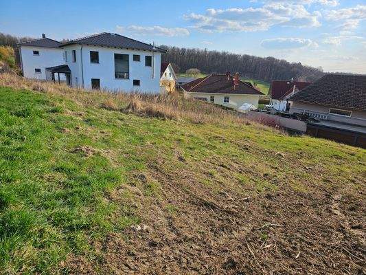 Kalkgrube 13 Richtung Süden.jpg