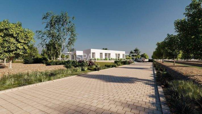 Luxury Houses for Sale Near La Finca Golf Resort Algorfa
