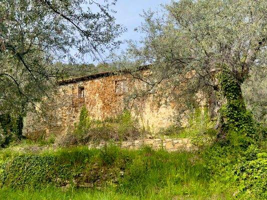 DA964_15 TERRA ITALIA IMMOBILIEN_LIGURIEN_DOLCEACQ