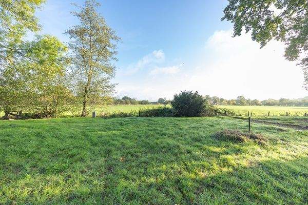 optionale Flächen.jpg