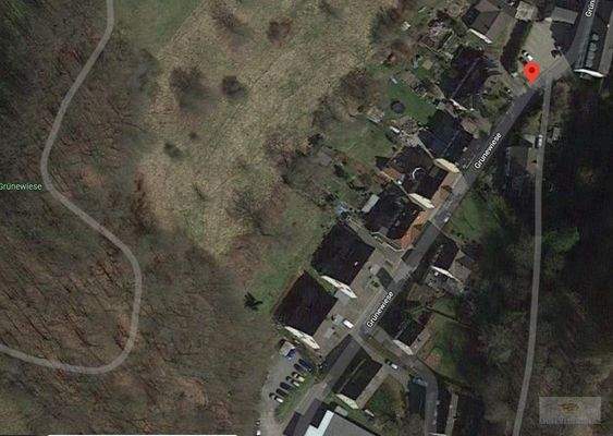 GrueneWiese Luftbild