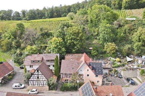 Hausansicht mit Garten