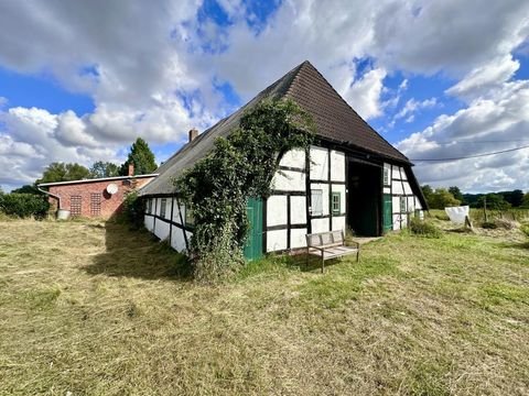 Stepenitztal Bauernhöfe, Landwirtschaft, Stepenitztal Forstwirtschaft