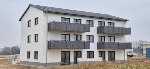 Stralsund Wohnungen, Stralsund Wohnung mieten