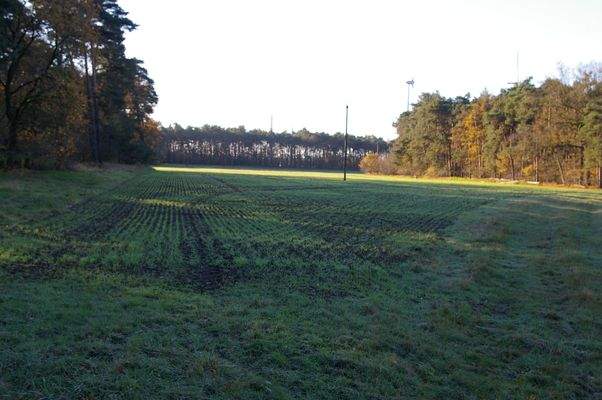 Flächenansicht vom Norden