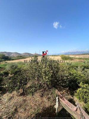 WhatsApp Image 2024-09-06 at 10.30.41 (6).jpeg