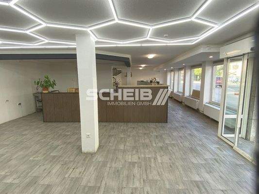 repräsentative Fläche