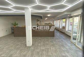 repräsentative Fläche