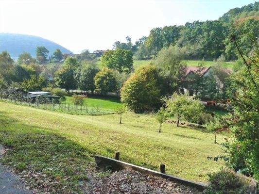 Blick von der Straße zum Grundstück in Richtung Süden