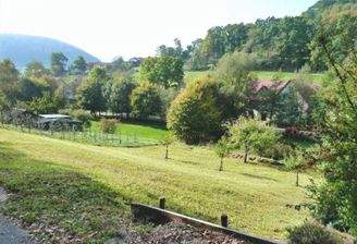 Blick von der Straße zum Grundstück in Richtung Süden