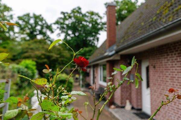 SINKO Am Damm-19.jpg