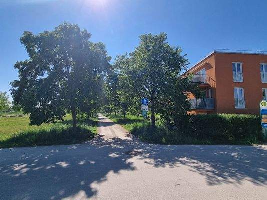 Spazierweg hinter dem Haus