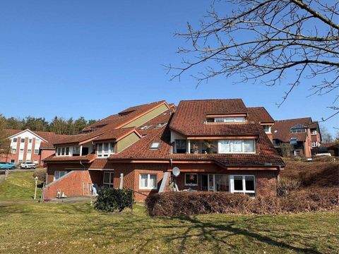 Bad Fallingbostel Wohnungen, Bad Fallingbostel Wohnung mieten