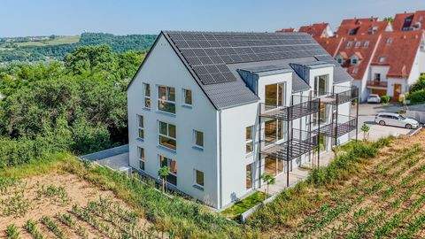 Sinzing Wohnungen, Sinzing Wohnung mieten