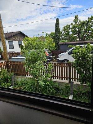 Blick auf die ruhige Privatstr