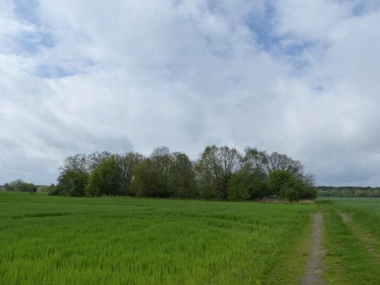 Verkaufsobjekt Blick östli. 