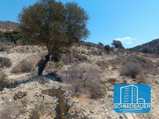 Kreta, Kalamaki: Grundstück mit herrlichem Meerblick und einer Vorbaugenehmigung für 4 Häuser zu verkaufen