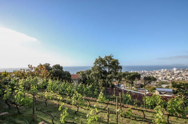 Bildschirmfoto 2025-02-18 um 12.25.30.png