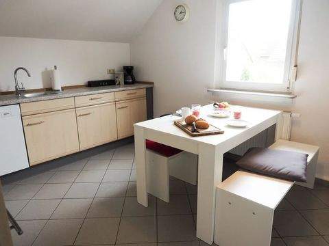 Frankfurt am Main Wohnungen, Frankfurt am Main Wohnung mieten