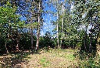 Blick auf`s Grundstück