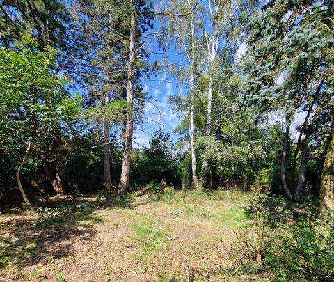 Petershagen/Eggersdorf Grundstücke, Petershagen/Eggersdorf Grundstück kaufen