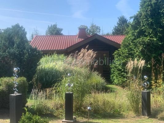 Üppige Gräser und Stauden