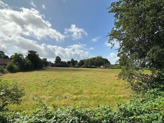 Blick vom Balkon ins grüne
