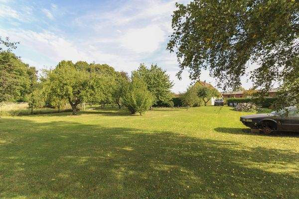 Garten mit Obstbäumen