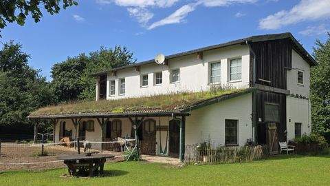 Malente Bauernhöfe, Landwirtschaft, Malente Forstwirtschaft