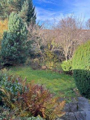 PHOTO-2025-11-05-14-27-34 (21).jpg