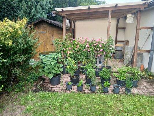 Pergola und Gerätehaus